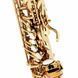 Саксофон Thomann ASBGM Custom Line Alto Sax