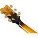 Електрогітара Ibanez JSM10EM-TTB John Scofield