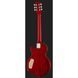 Електрогітара Epiphone Slash AFD LP Performance Pack