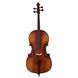 Акустическая виолончель Thomann Classic Cello Set 4/4