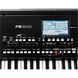 Рабоча станція Korg PA300, Чорний