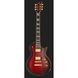 Електрогитара ESP Eclipse FM SD STBLKCSB