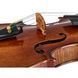Акустична скрипка Hidersine Preciso Violin Set Stradivari