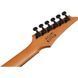 Електрогітара Ibanez GRGR221FA-TDK