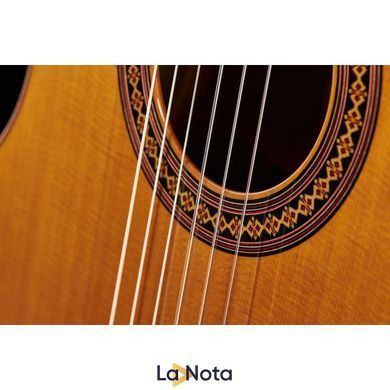 Классическая гитара Alhambra Iberia Ziricote