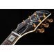 Електрогітара Epiphone Emily Wolfe Sheraton Stealth