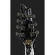 Електрогитара Schecter C-7 FR S Silver Mountain