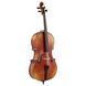 Виолончель Gewa Allegro VC1 A Cello 1/2 SB