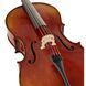 Виолончель Gewa Allegro VC1 A Cello 1/2 SB