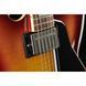 Електрогітара Epiphone ES-335 Figured Tea Burst