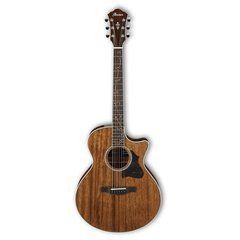 Акустична гітара Ibanez AE245-NT