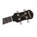 Укулеле Epiphone Ukulele Les Paul HCB