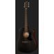 Акустическая гитара Ibanez AAD190CE-WKH