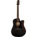 Акустическая гитара Ibanez AAD190CE-WKH