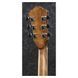 Акустическая гитара Ibanez AE245-NT