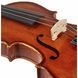 Акустична скрипка Hidersine Studenti Violin Set 1/8
