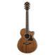 Акустическая гитара Ibanez AE245-NT