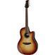 Акустична гітара Ovation Celebrity Trad.Plus CS24X-7C-G