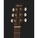 Акустическая гитара Ibanez AAD190CE-WKH