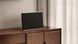 Портативна акустика Bang & Olufsen Beosound Level Dark Grey