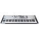 Синтезатор Korg Wavestate SE Platinum