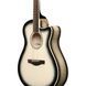 Акустична гітара Ibanez AAM370M1CE-TPA