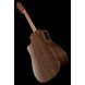 Акустическая гитара Furch Blue DC-SW/L.R.Baggs Stage Pro