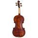 Акустична скрипка Roth & Junius Europe Orchestra Violin Set SB