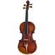 Акустична скрипка Roth & Junius Europe Orchestra Violin Set SB