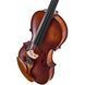 Акустична скрипка Roth & Junius Europe Orchestra Violin Set SB