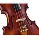 Акустична скрипка Roth & Junius Europe Orchestra Violin Set SB
