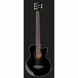 Полуакустическая гитара Harley Benton B-35BK-FL Acoustic Bass Series