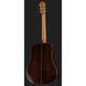 Акустическая гитара Furch Red Pure D-SR