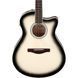Акустична гітара Ibanez AAM370M1CE-TPA