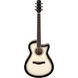 Акустична гітара Ibanez AAM370M1CE-TPA