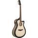 Акустична гітара Ibanez AAM370M1CE-TPA