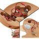Електрогітара Harley Benton Electric Guitar Kit Single Cut