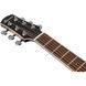 Акустична гітара Ibanez AAM370M1CE-TPA