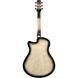 Акустична гітара Ibanez AAM370M1CE-TPA