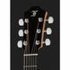 Акустическая гитара Furch Blue DC-SW/L.R.Baggs Stage Pro