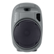 Мобільна акустична система Ibiza Port12VHF MKII Silver