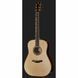 Акустическая гитара Furch Red Pure D-SR