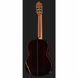 Классическая гитара Alhambra 10 Premier w/Case