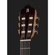 Классическая гитара Alhambra 10 Premier w/Case