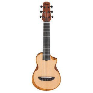 Акустическая гитара Ibanez AUP10N-OPN