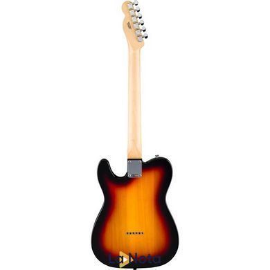 Електрогитара Fender Standard Tele LRL WPG 3TS