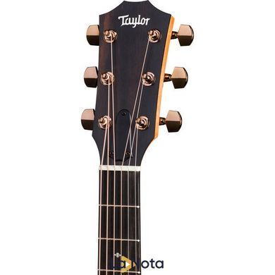 Акустична гітара Taylor 214e-SB DLX