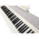 Синтезатор Casio CT-S1 76 WE