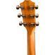 Акустична гітара Taylor 214e-SB DLX