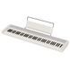 Синтезатор Casio CT-S1 76 WE